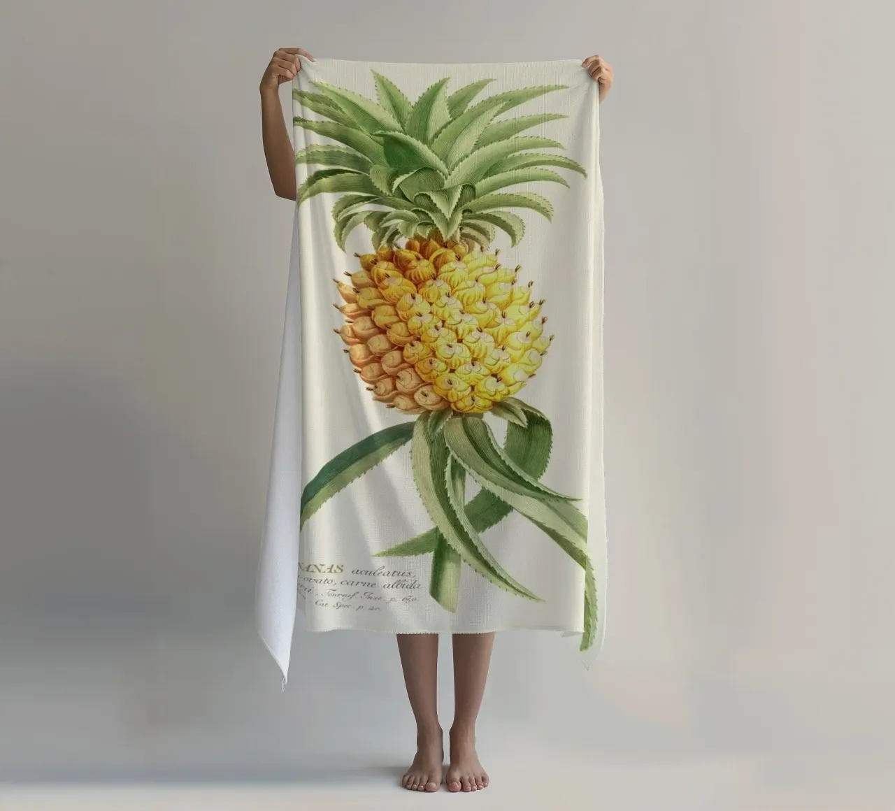 Pineapple 2 telo mare da Astër