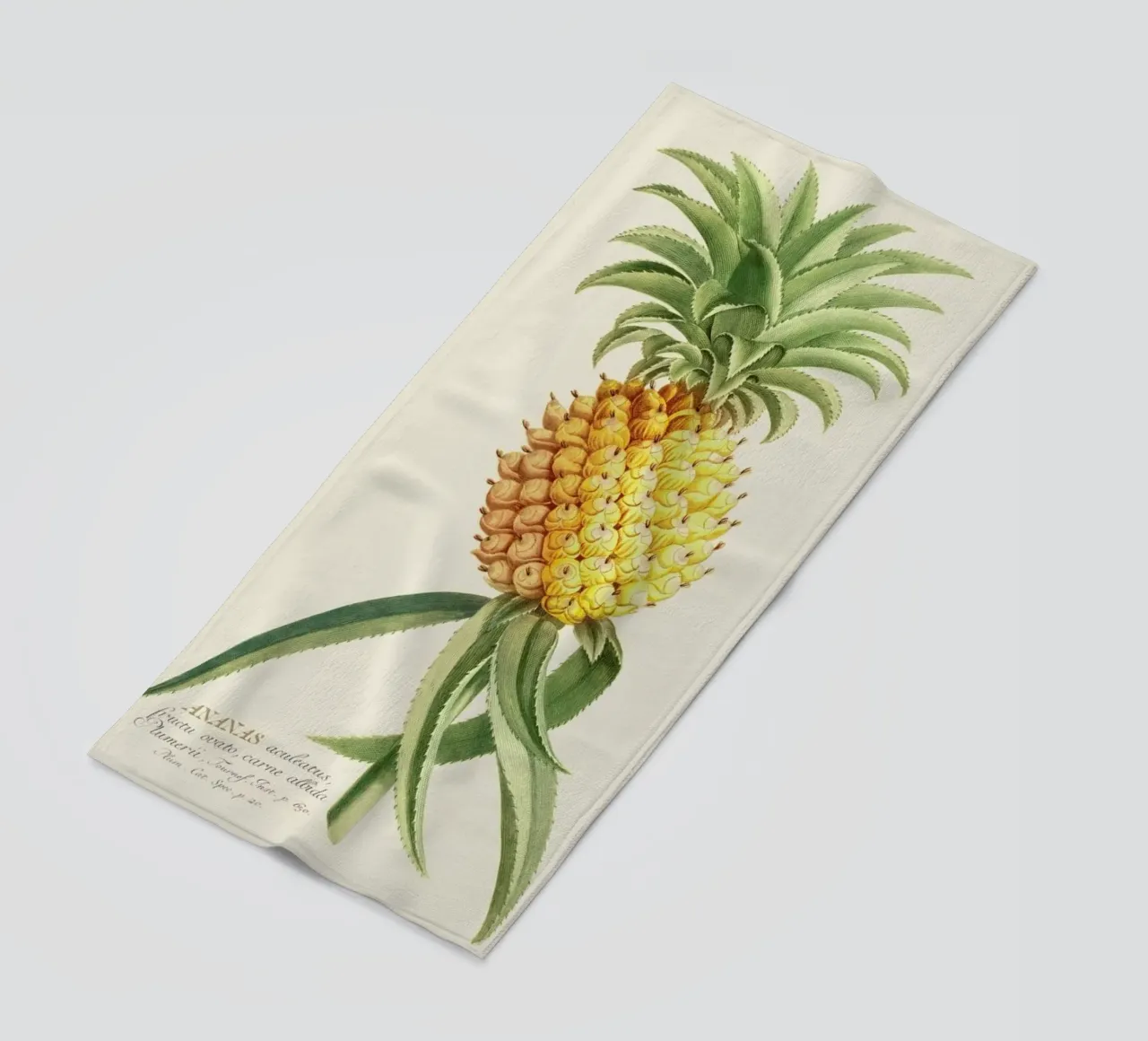 Pineapple 2 telo mare da Astër