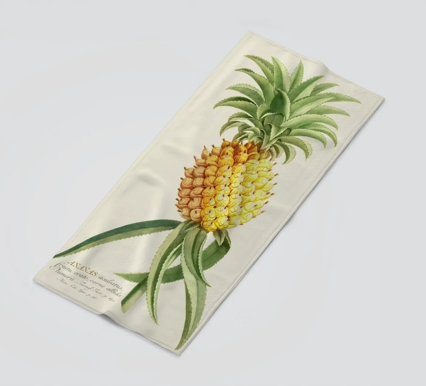 Pineapple 2 serviette de plage de Astër