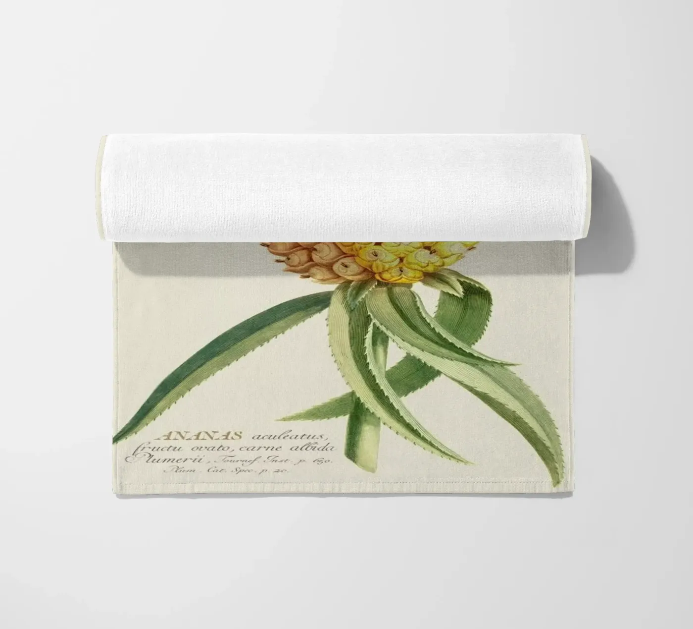 Pineapple 2 serviette de plage de Astër