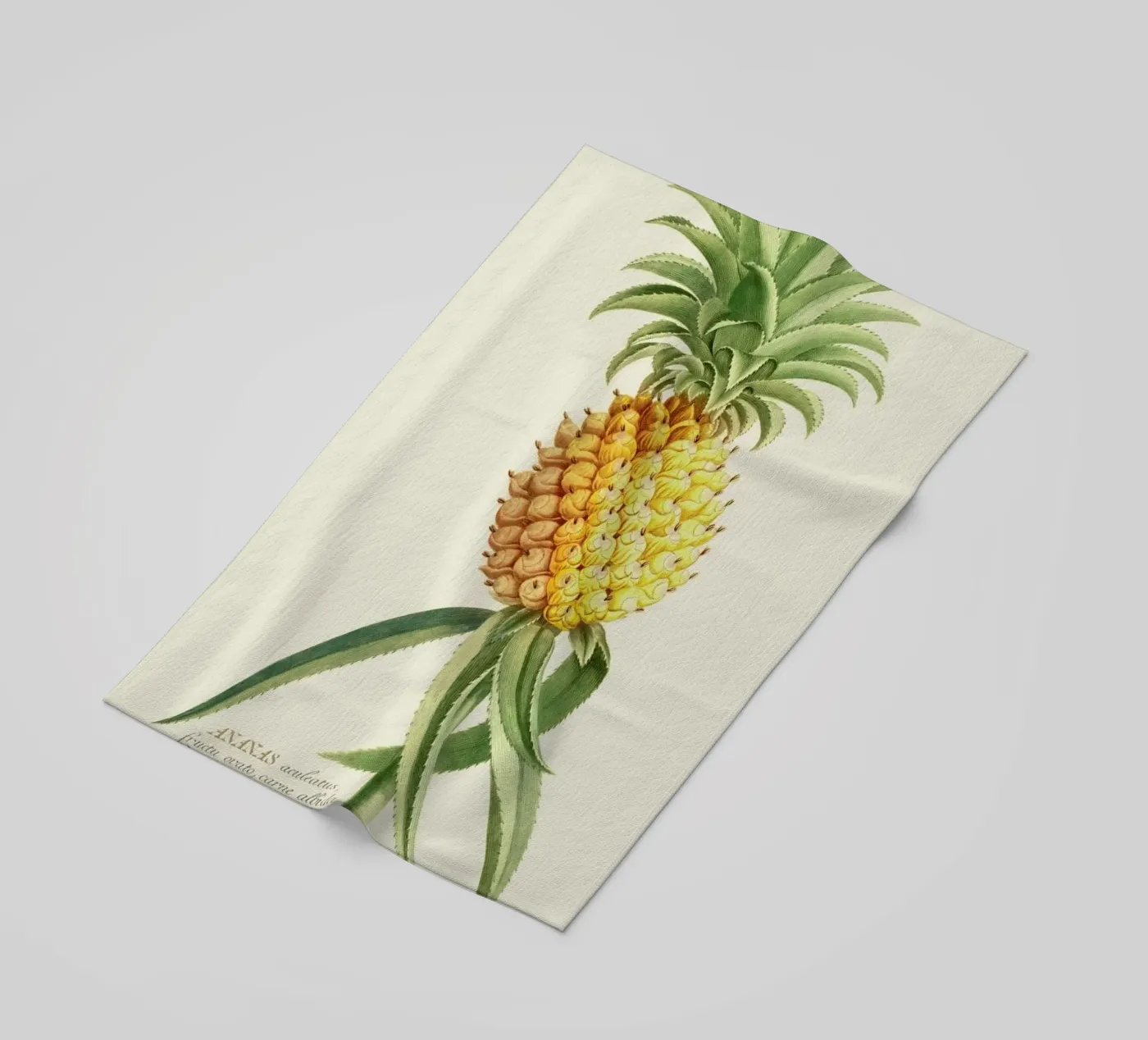 Pineapple 2 telo mare da Astër