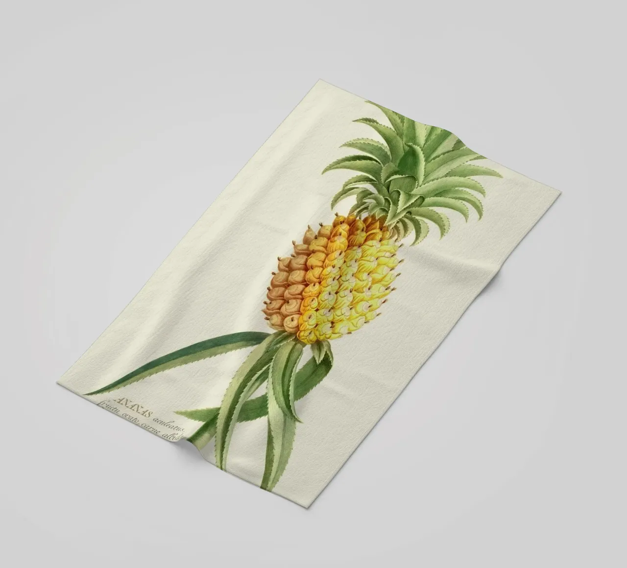 Pineapple 2 telo mare da Astër