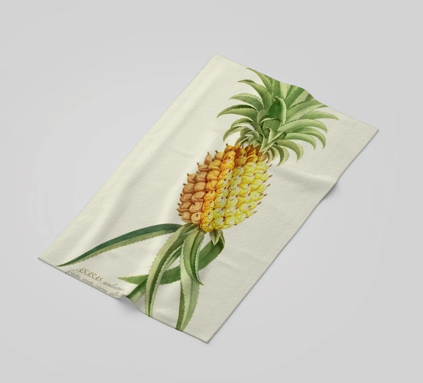 Pineapple 2 serviette de plage de Astër