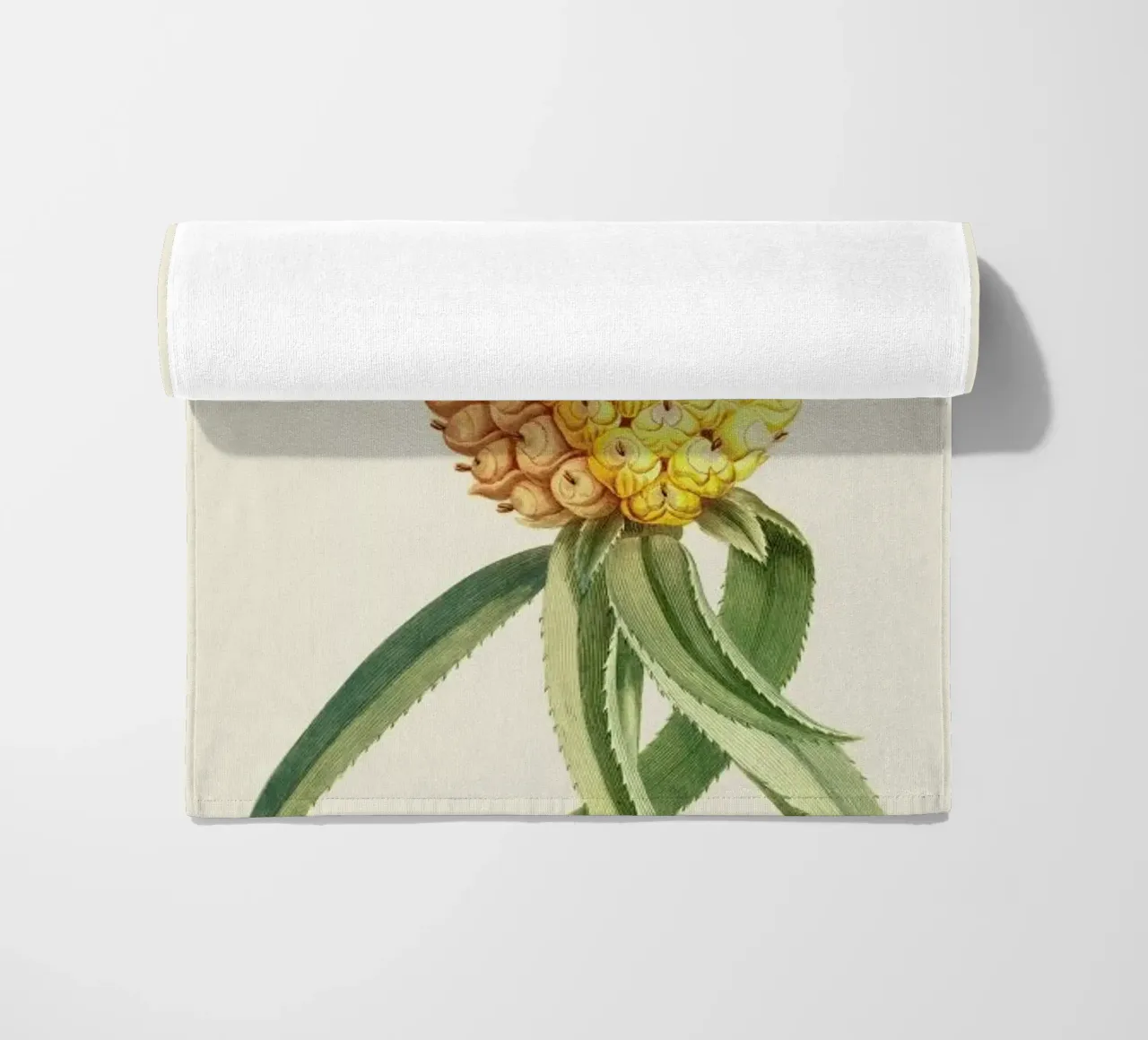 Pineapple 2 telo mare da Astër