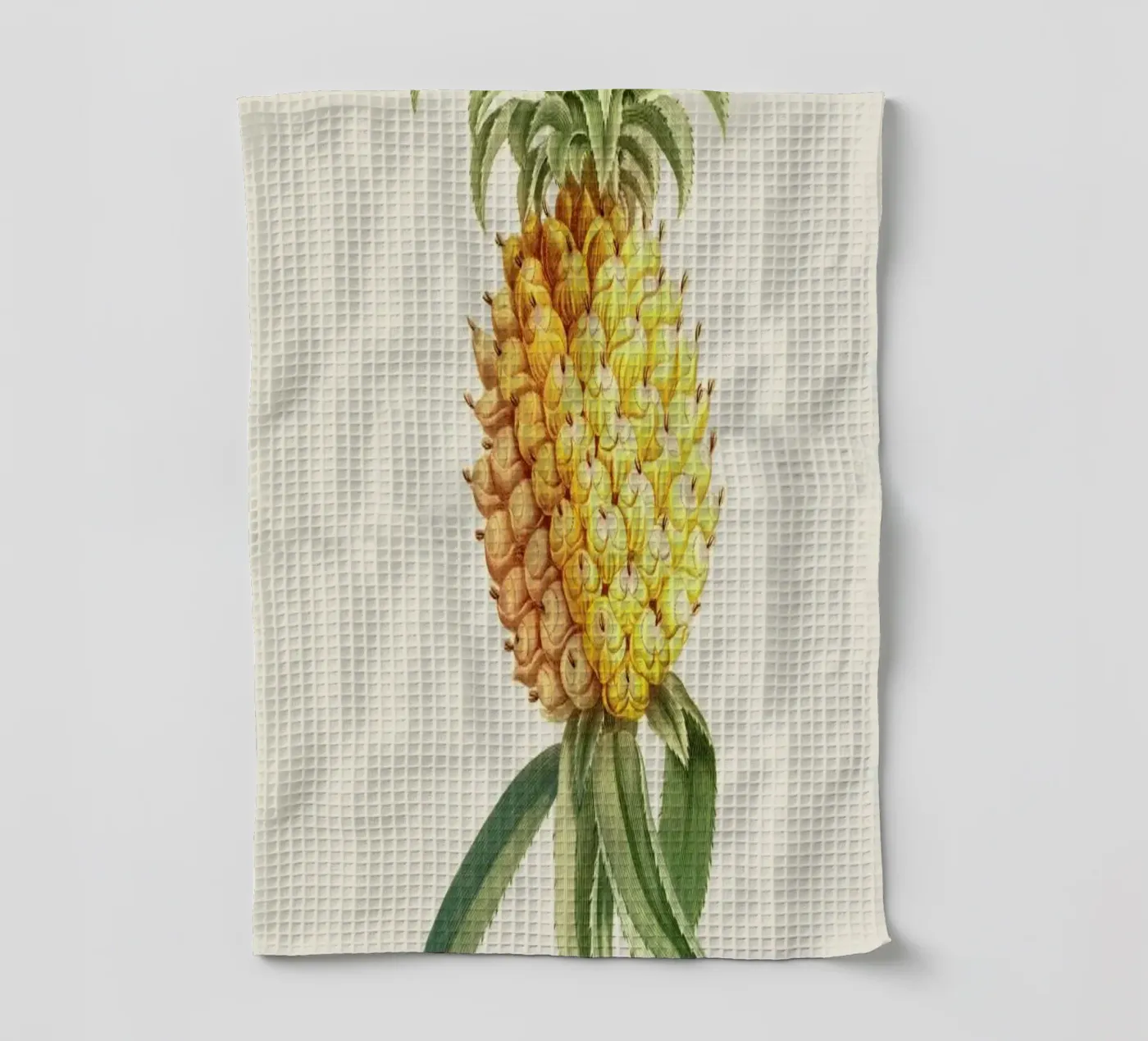 Pineapple 2 torchon de Astër