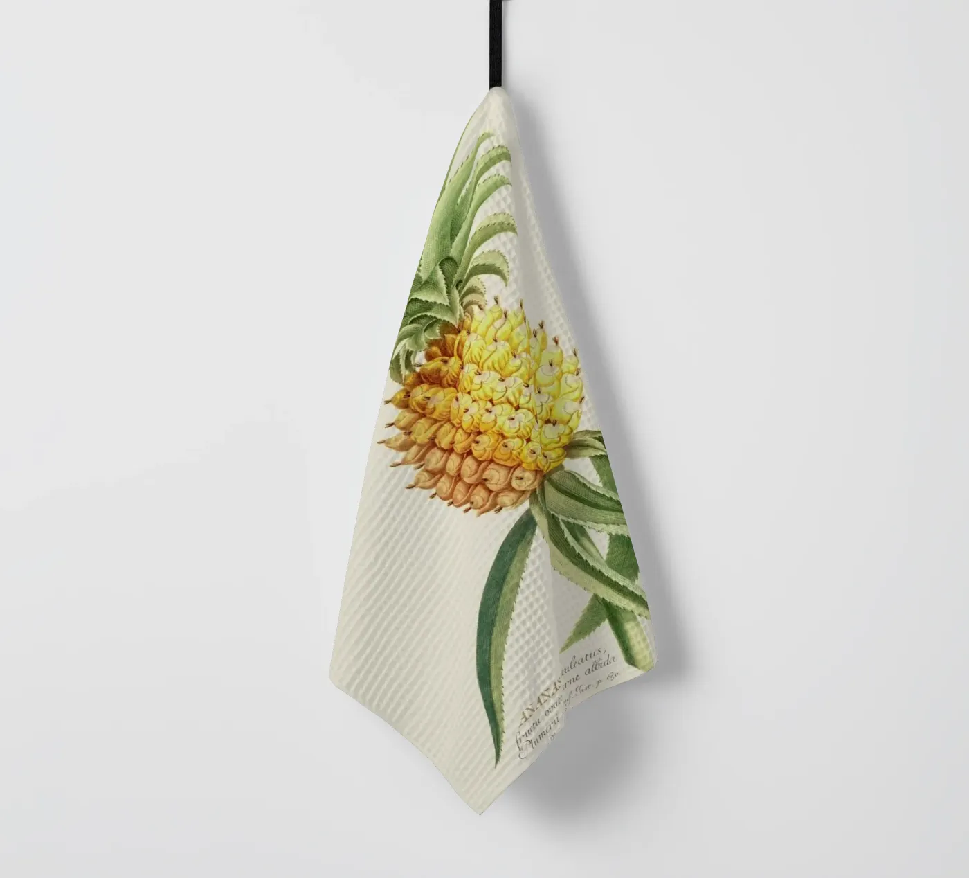 Pineapple 2 torchon de Astër