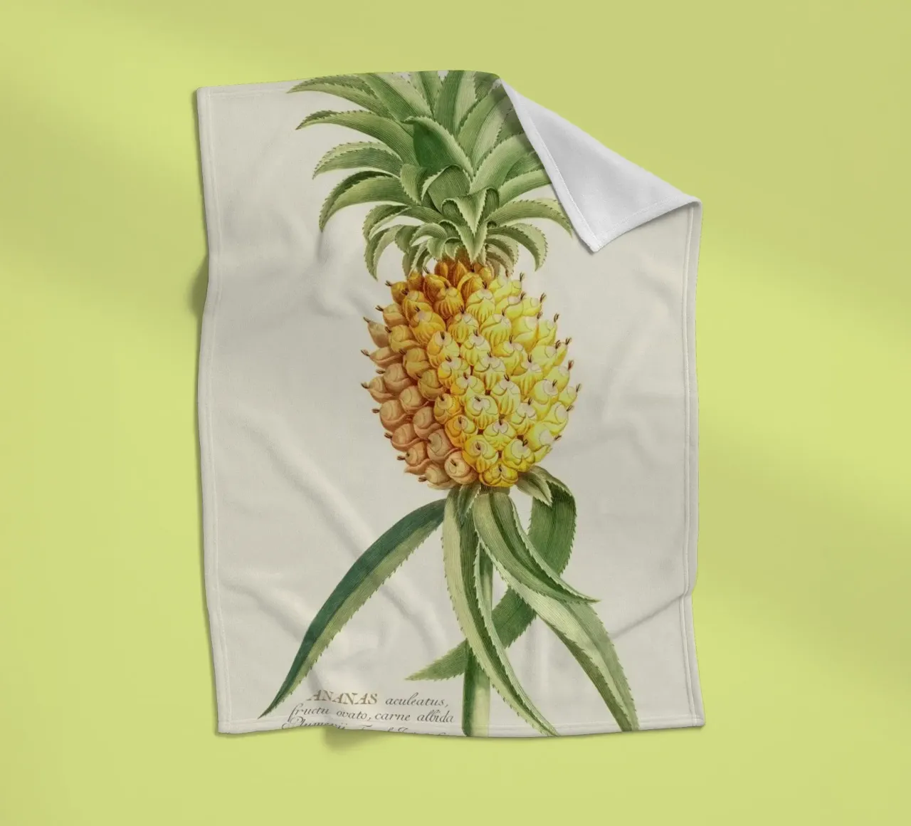 Pineapple 2 plaid polaire de Astër