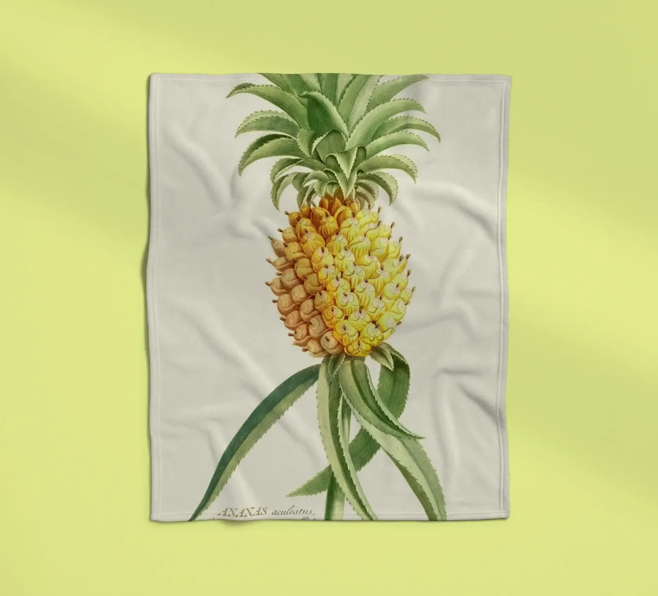 Pineapple 2 coperta in pile da Astër