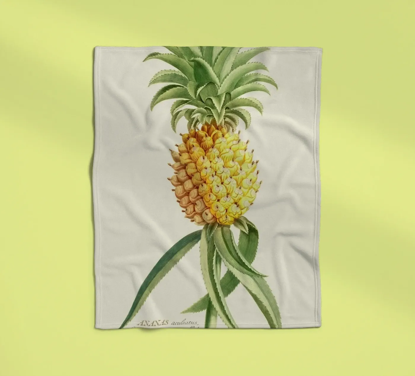 Pineapple 2 fleecedeken van Astër