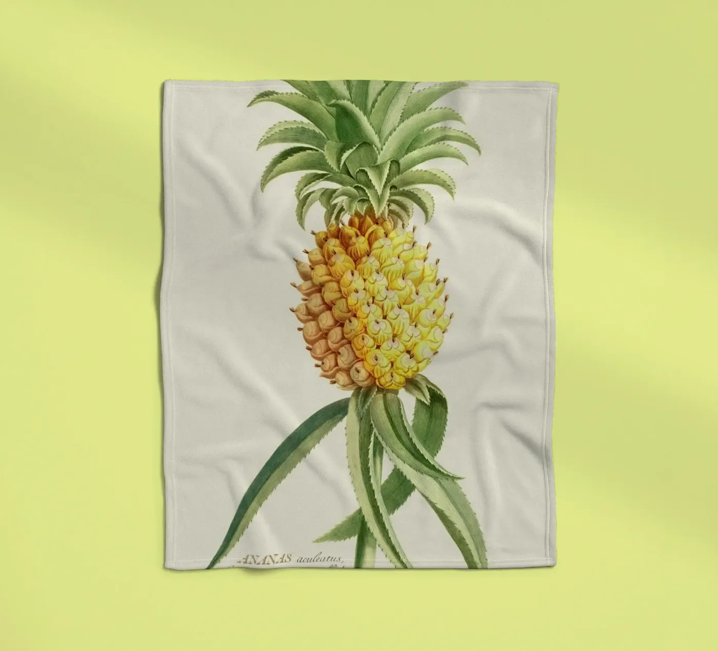 Pineapple 2 Fleecedecke von Astër