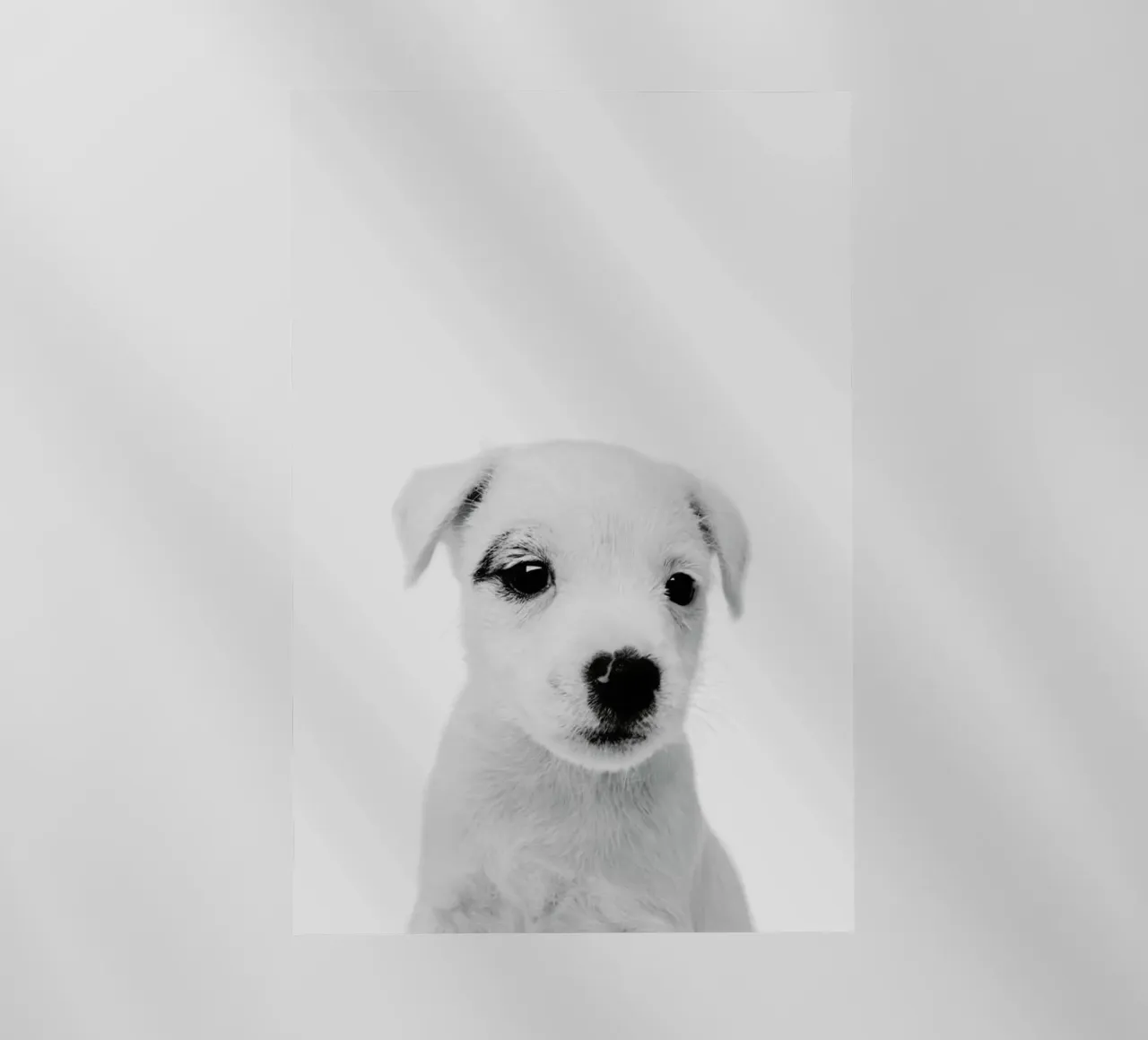 Puppy III Classic pellicola backlit da Paws & Claws