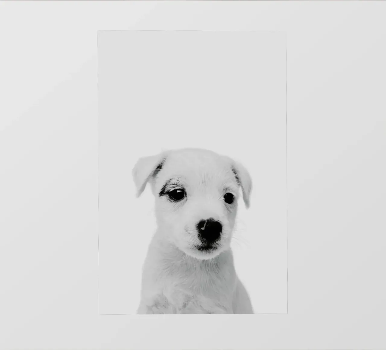 Puppy III Classic pellicola backlit da Paws & Claws