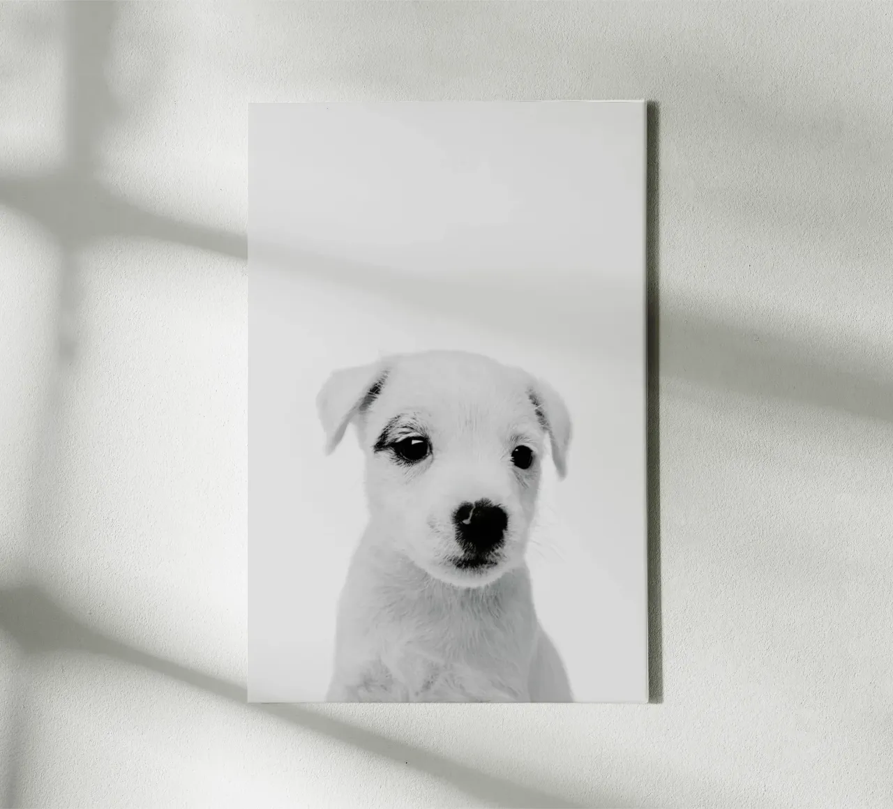 Puppy III Classic tela da Paws & Claws