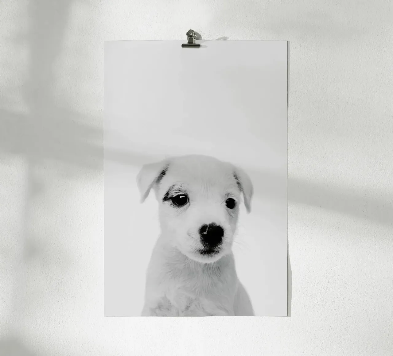 Puppy III Classic poster da Paws & Claws