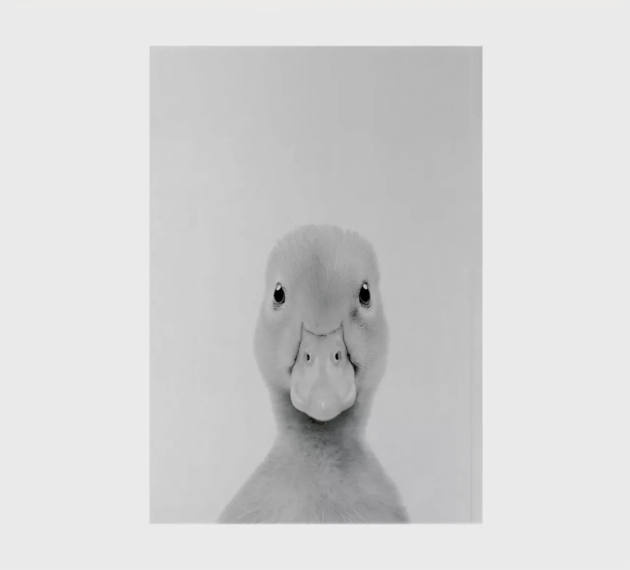 Duckling Classic notebook by Paws & Claws