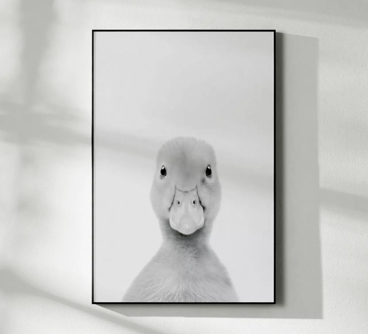 Duckling Classic plexiglass da Paws & Claws