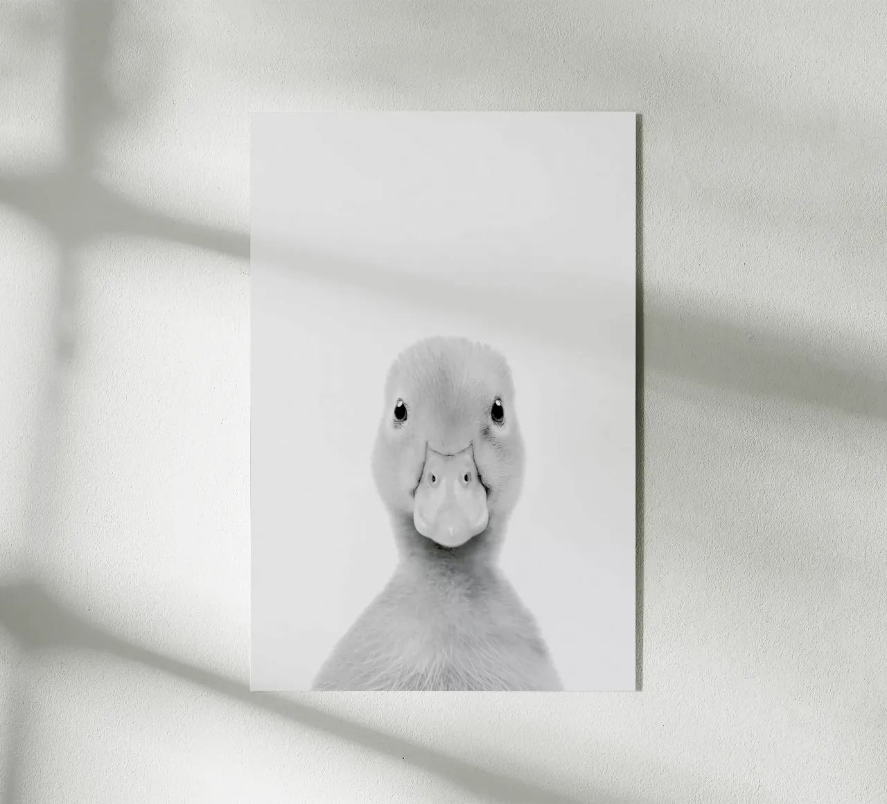 Duckling Classic plexiglass da Paws & Claws