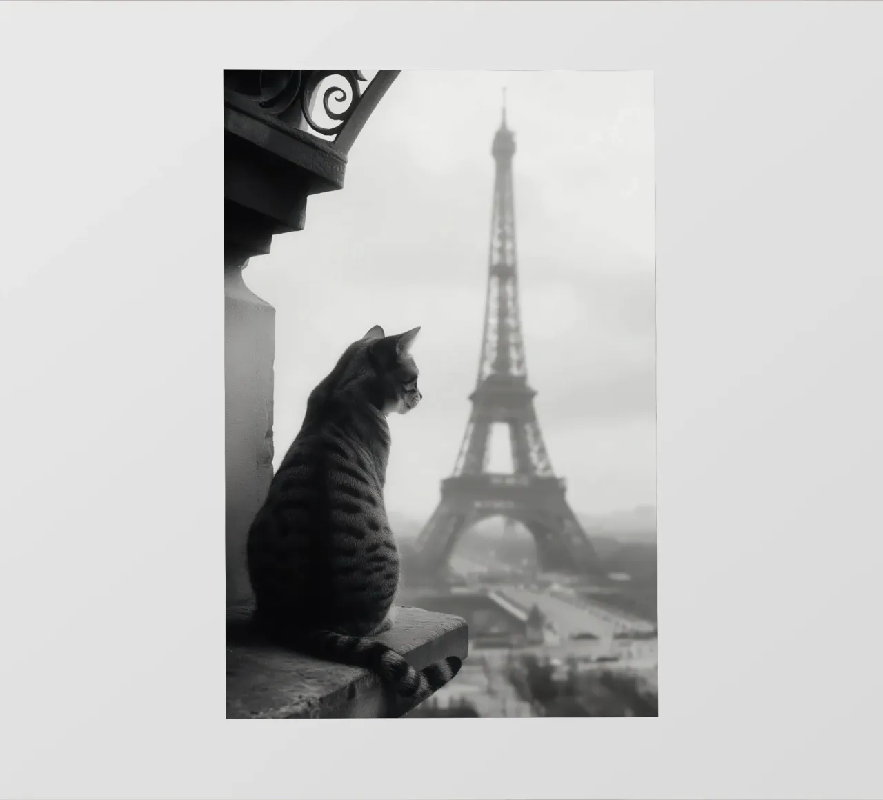 Gatto con Torre Eiffel Parigi | Foto vintage in bianco e nero pellicola backlit da Autofocus