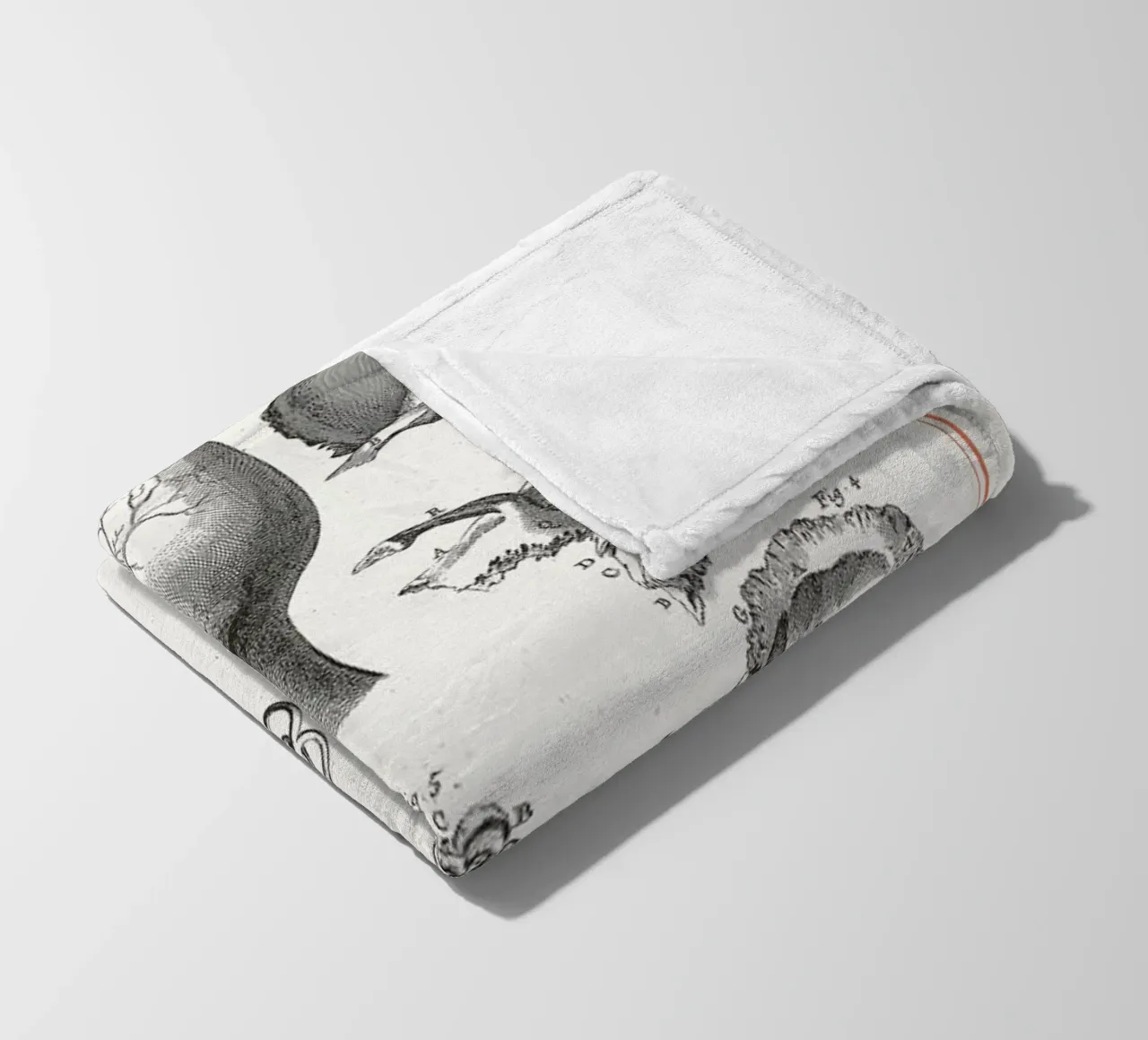 Anatomy coperta in pile da Astër