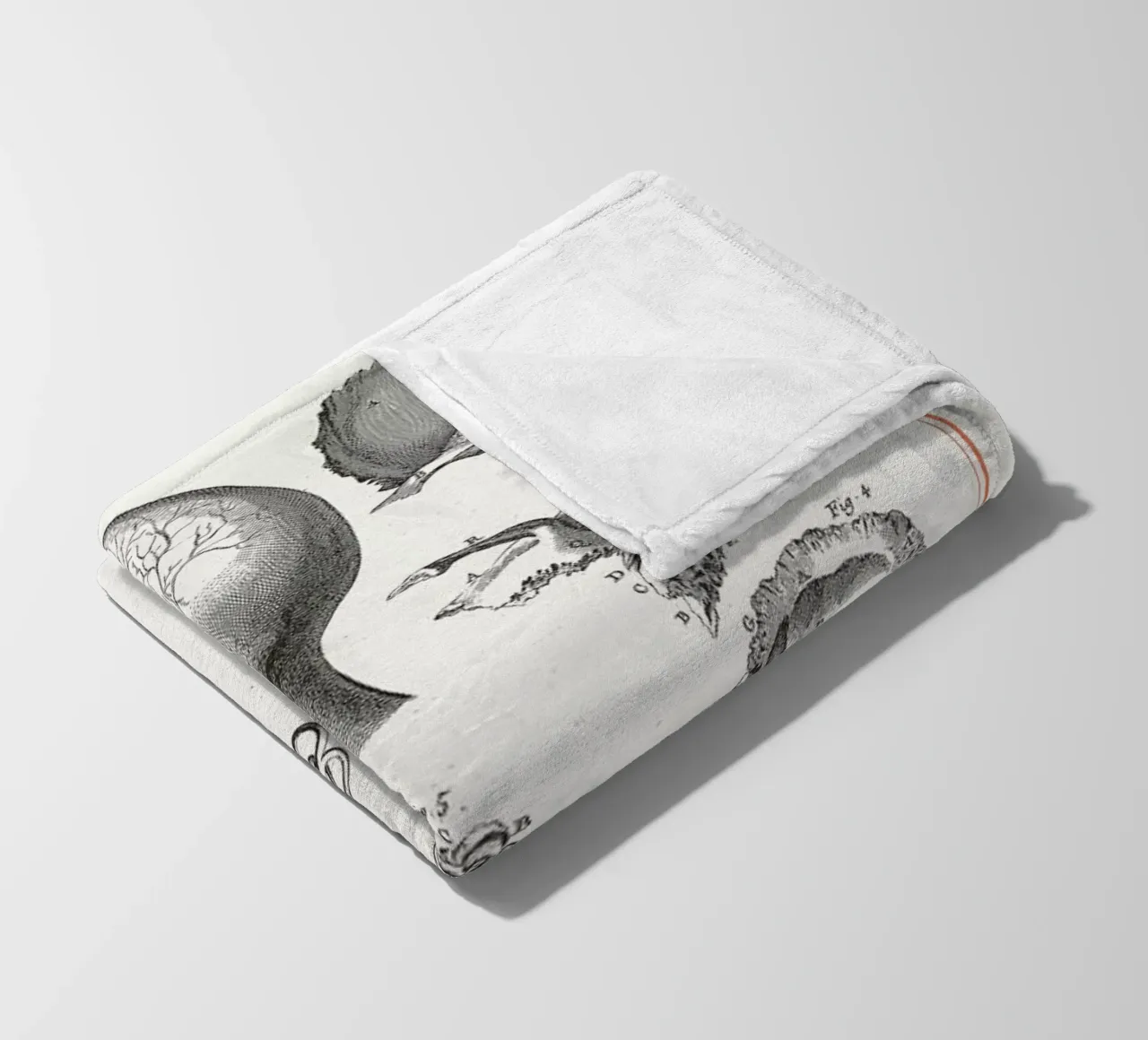 Anatomy coperta in pile da Astër