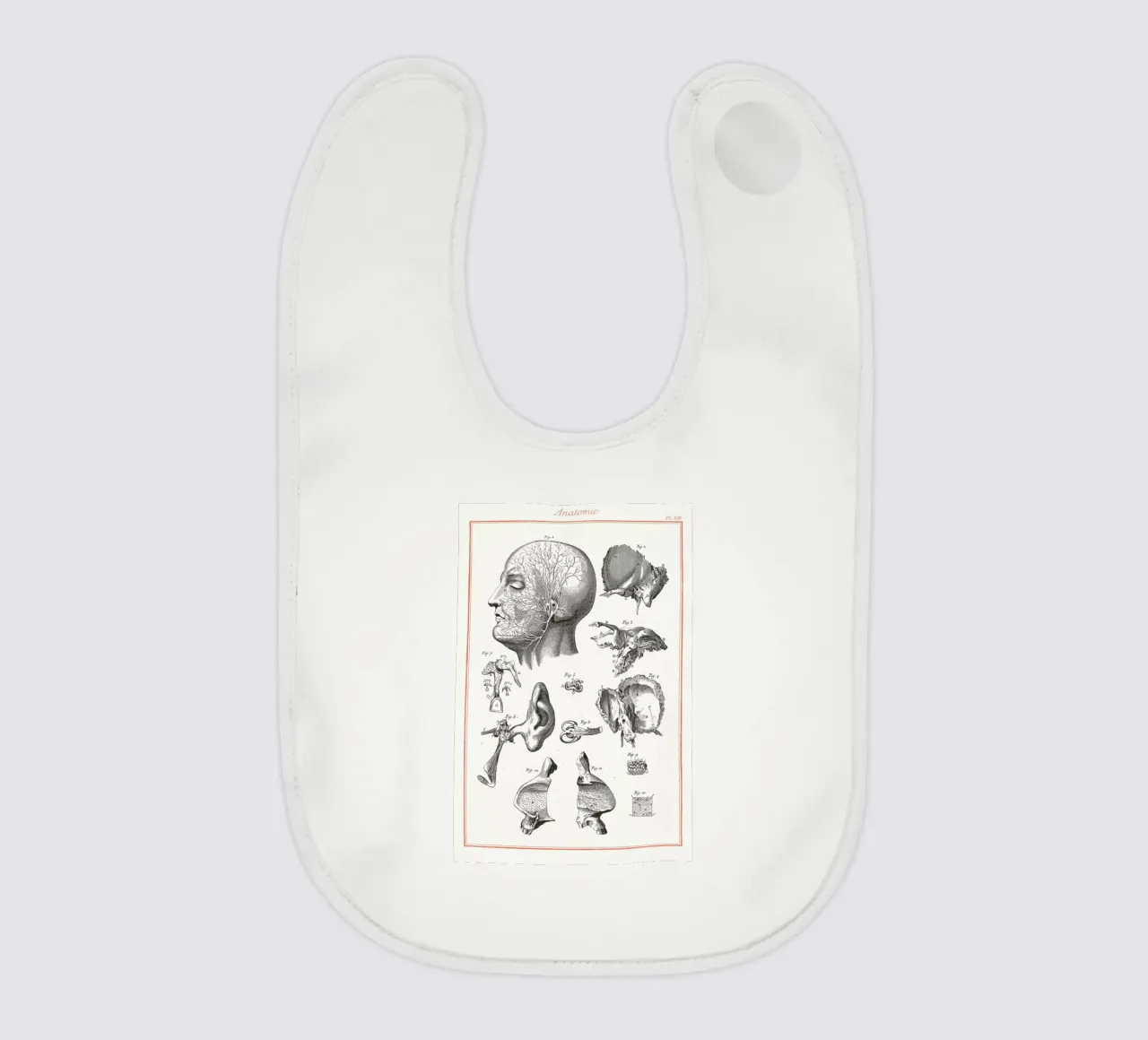Anatomy bavaglino da Astër
