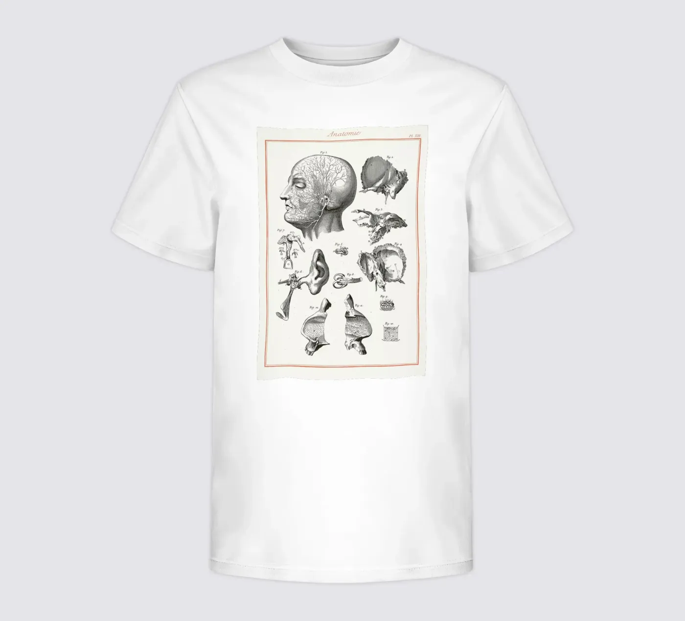 Anatomy t-shirt bambini da Astër