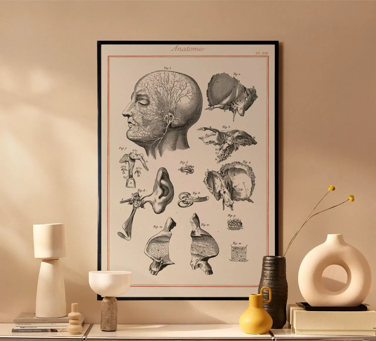 Anatomy hahnemühle by Astër