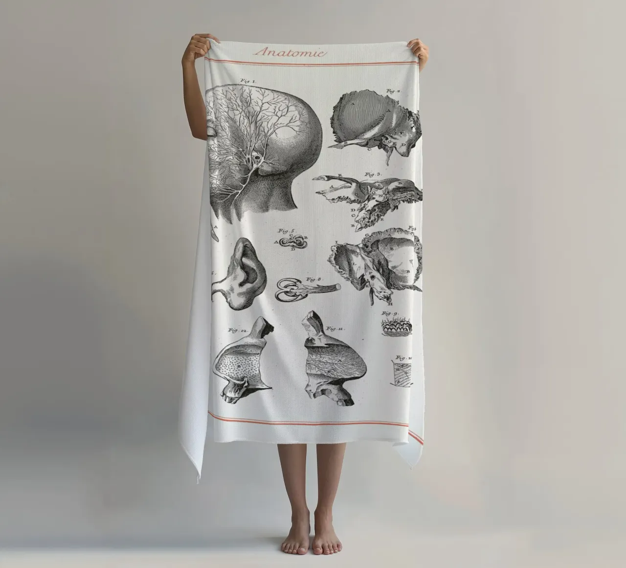 Anatomy telo mare da Astër