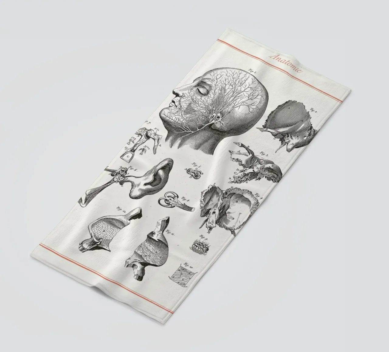 Anatomy telo mare da Astër