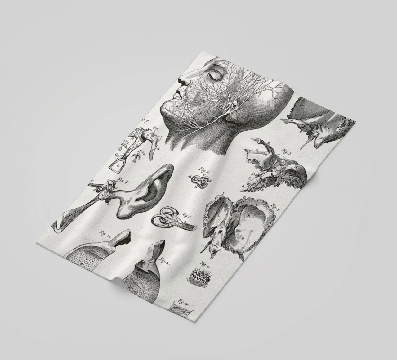 Anatomy telo mare da Astër