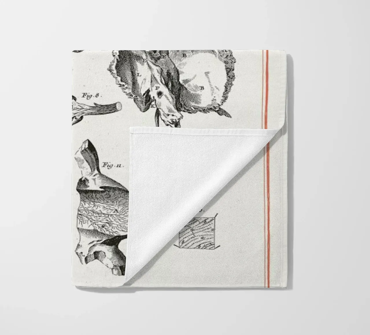 Anatomy telo mare da Astër