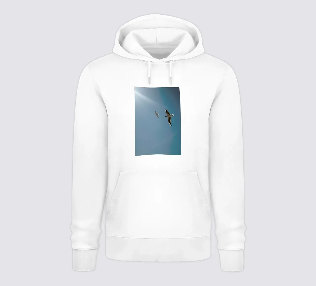 Seagulls VI felpa con cappuccio da Sebastian Hilgetag