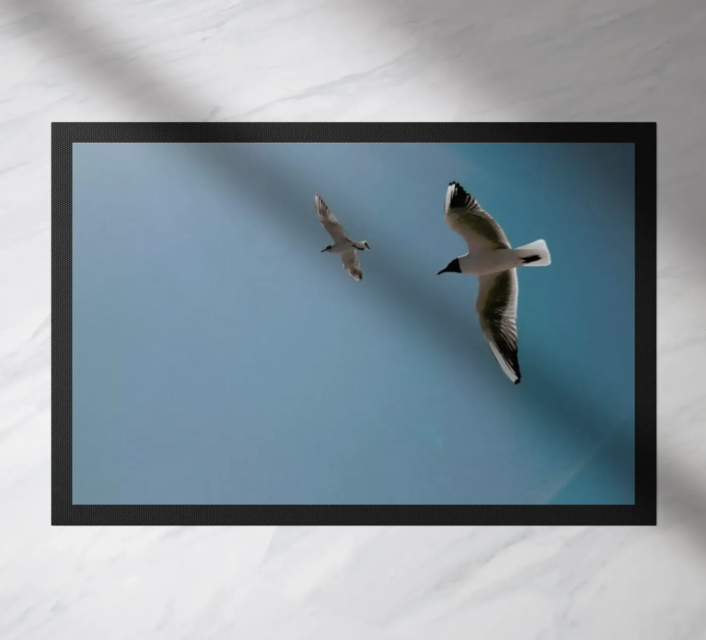 Seagulls VI zerbino da Sebastian Hilgetag