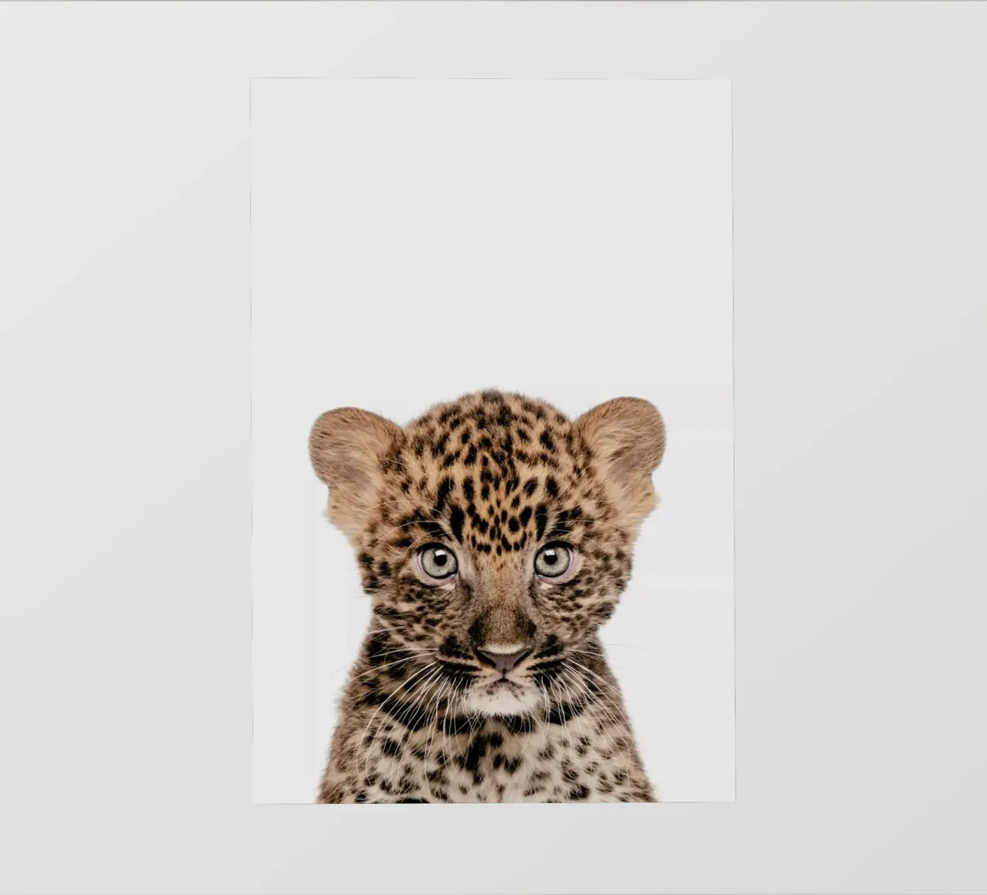 Leopard backlit folie van Paws & Claws