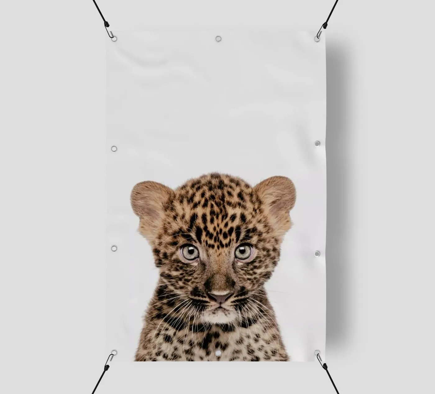 Leopard PVC Plane von Paws & Claws