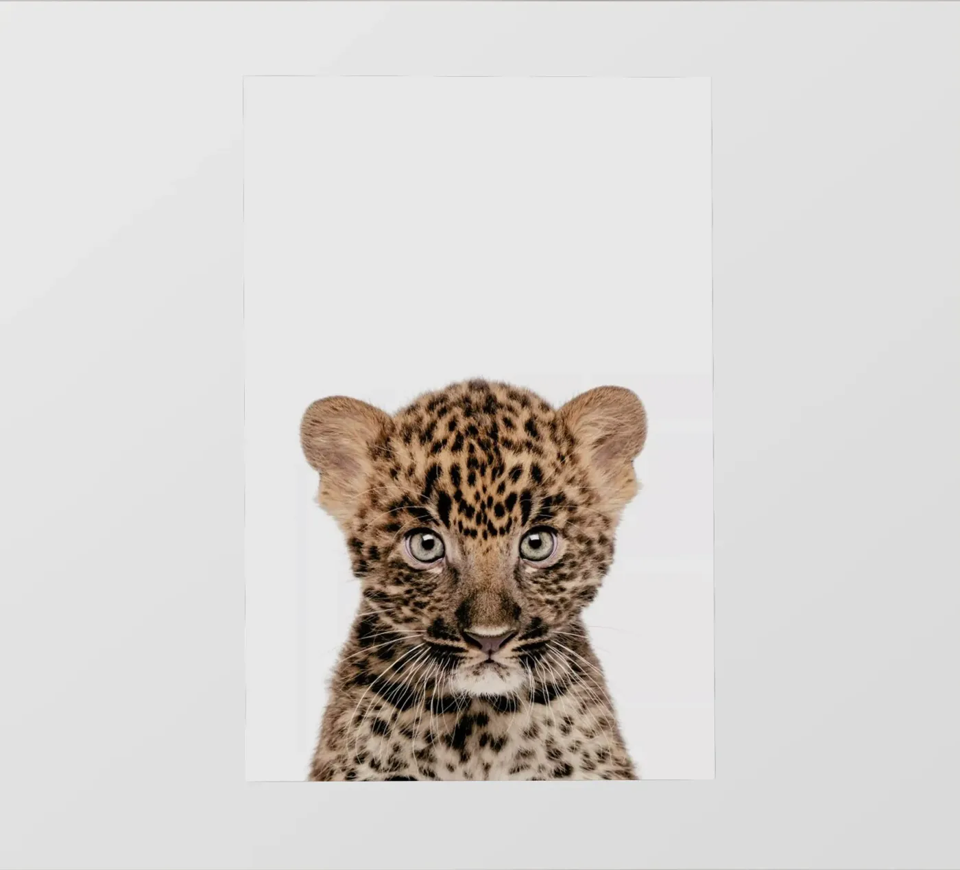 Leopard bâche pvc de Paws & Claws