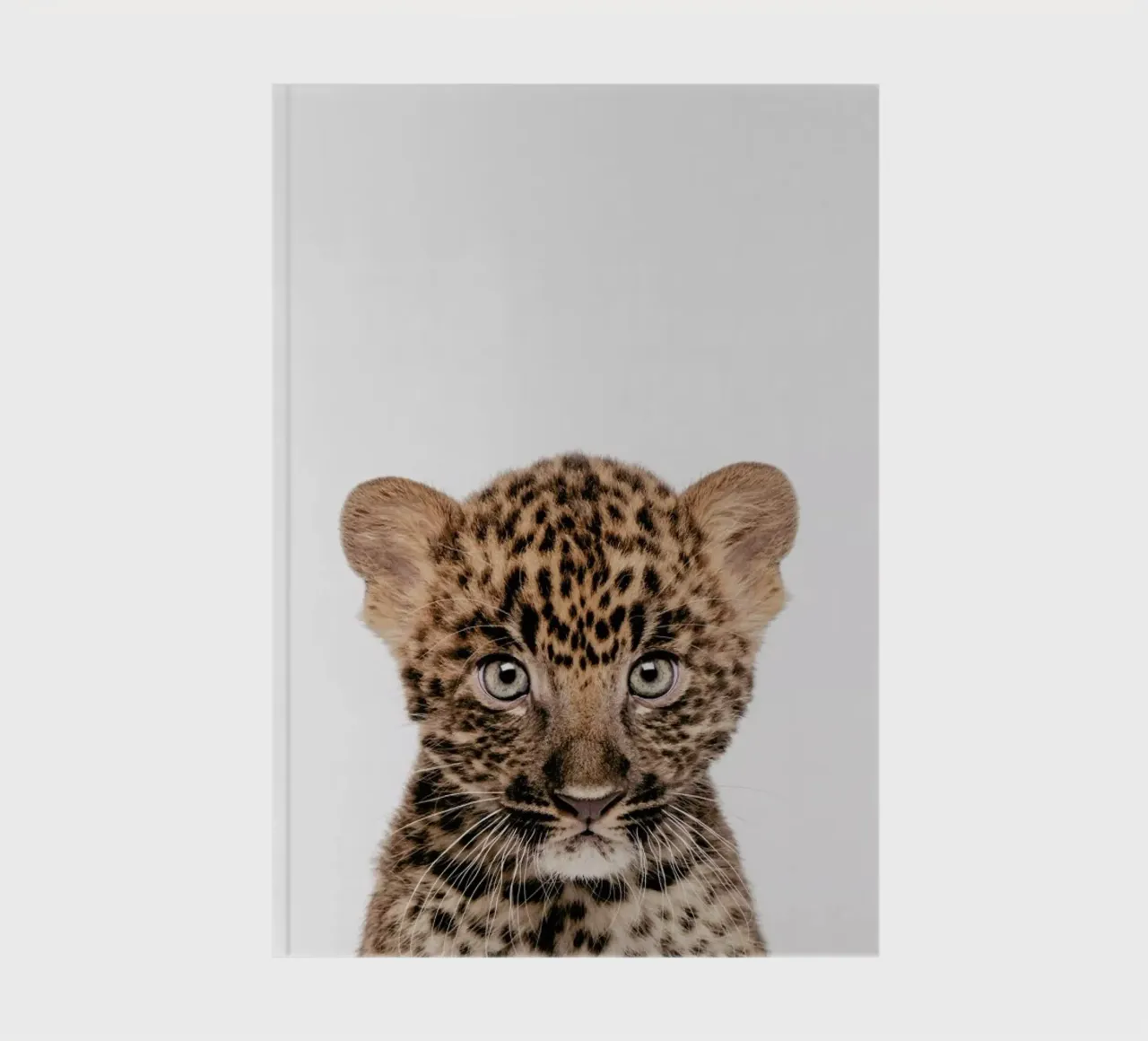 Leopard notebook by Paws & Claws