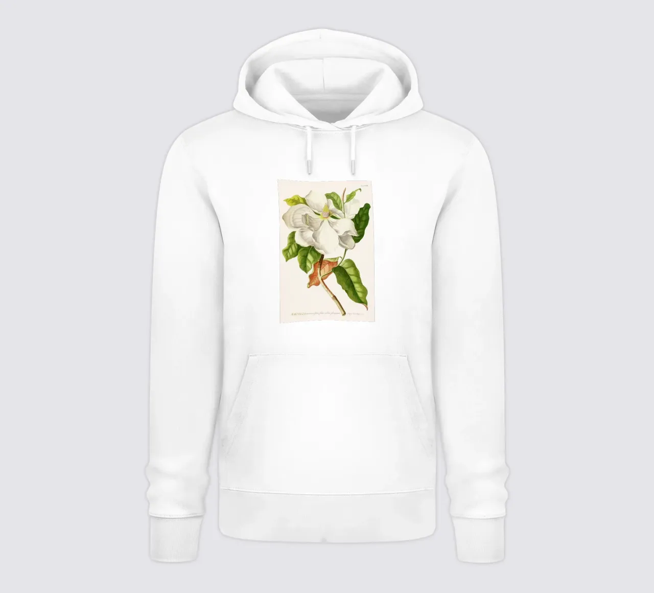 Magnolia felpa con cappuccio da Astër