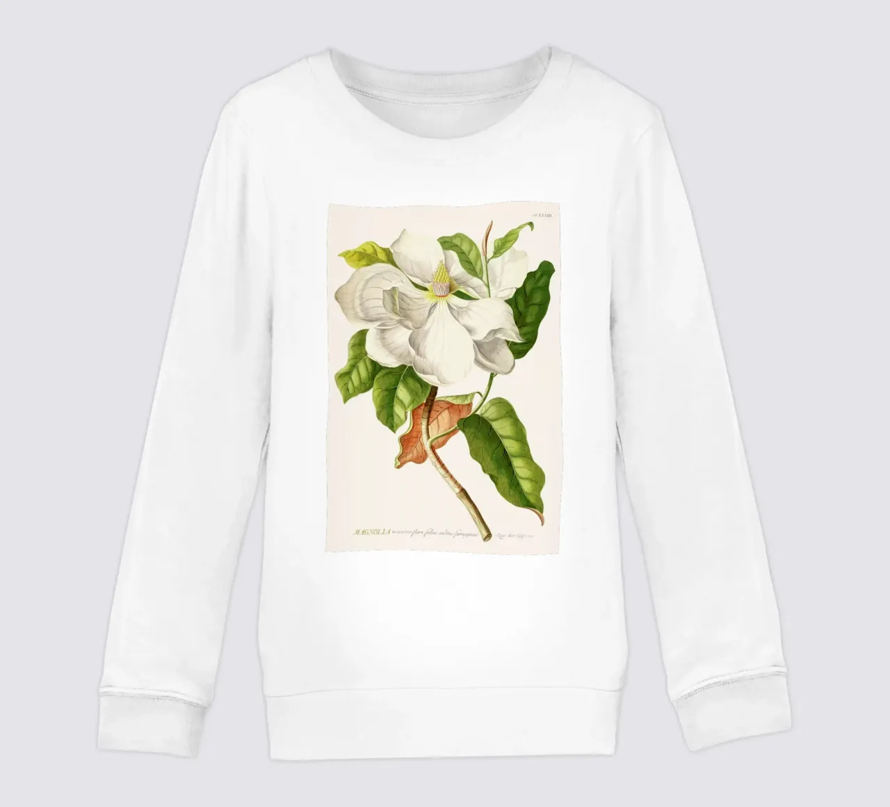 Magnolia felpa bambino da Astër