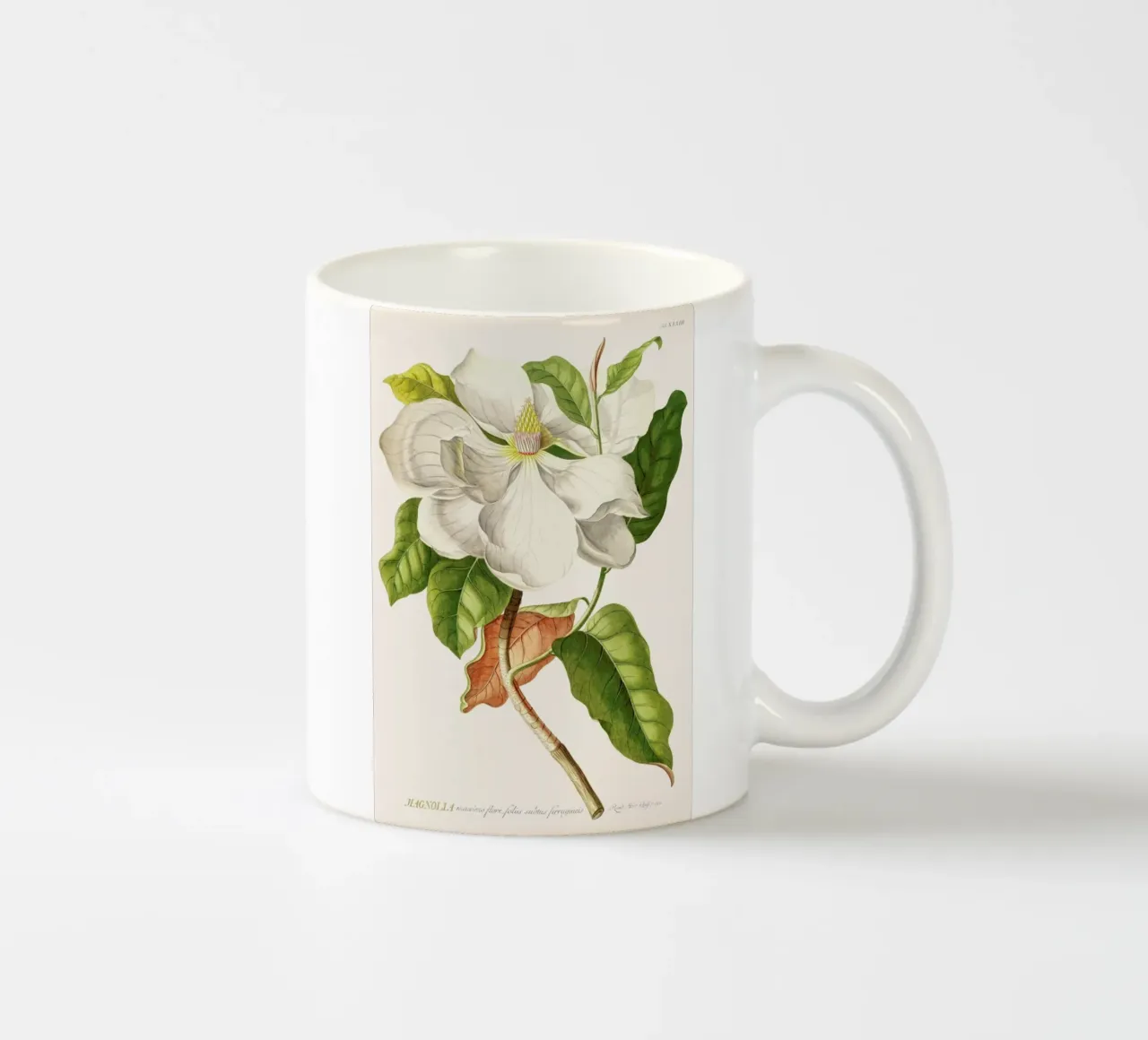 Magnolia tazza in ceramica da Astër