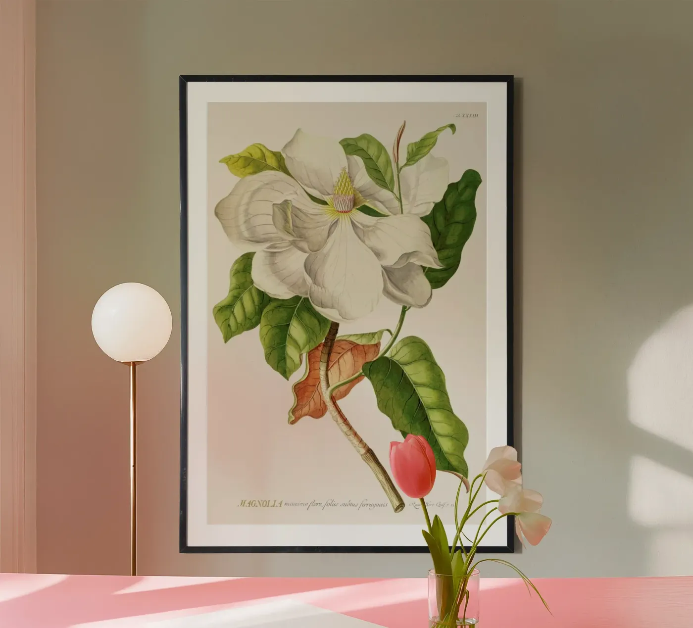 Magnolia poster da Astër