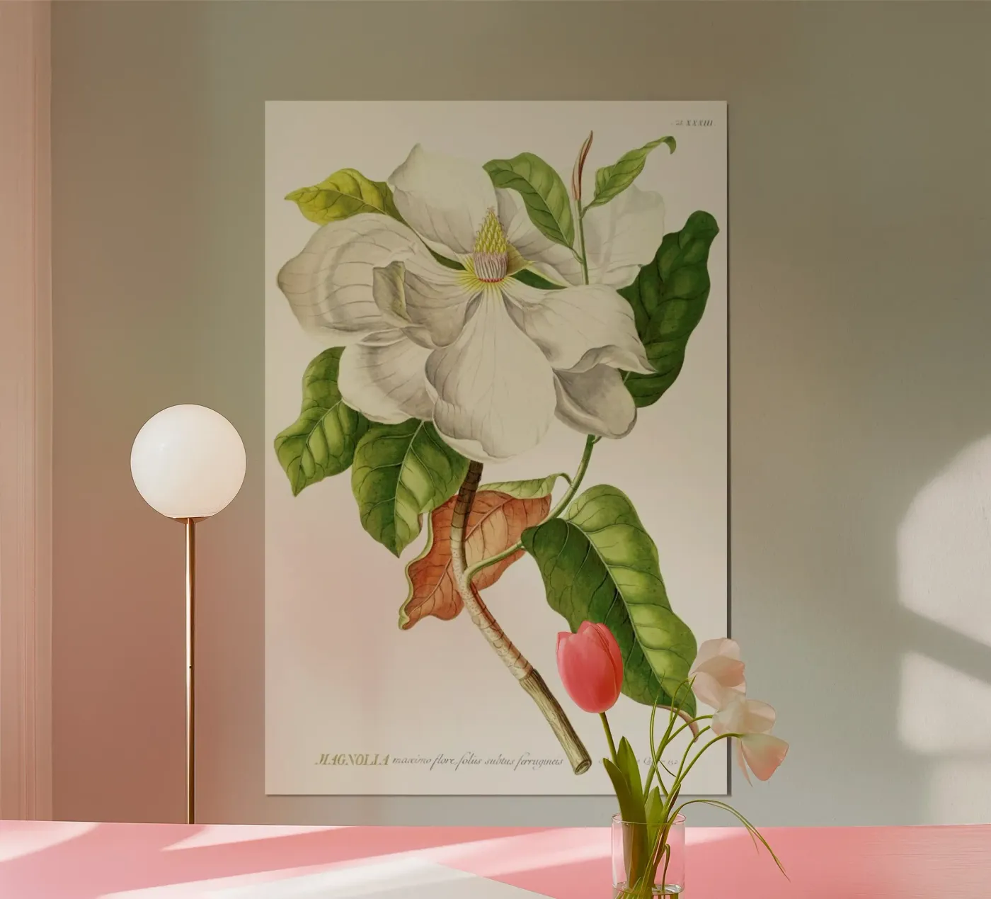 Magnolia poster da Astër