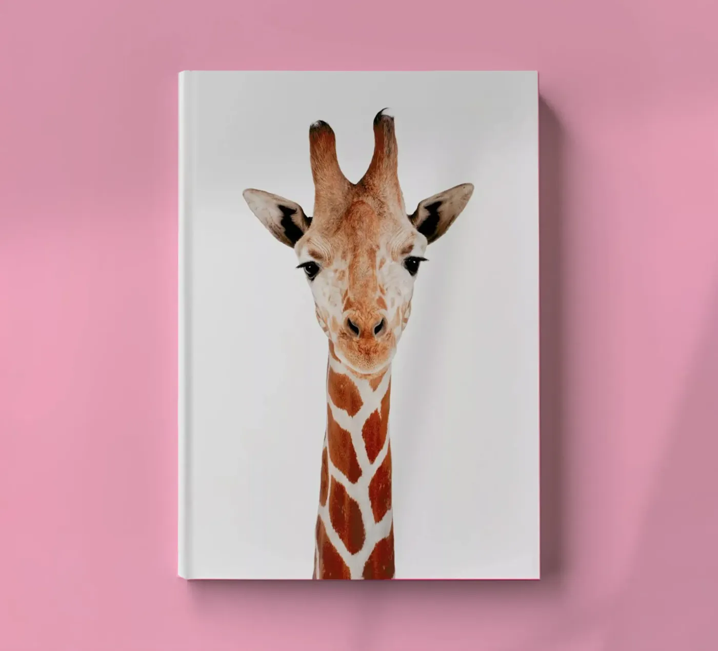 Giraffe notebook by Paws & Claws
