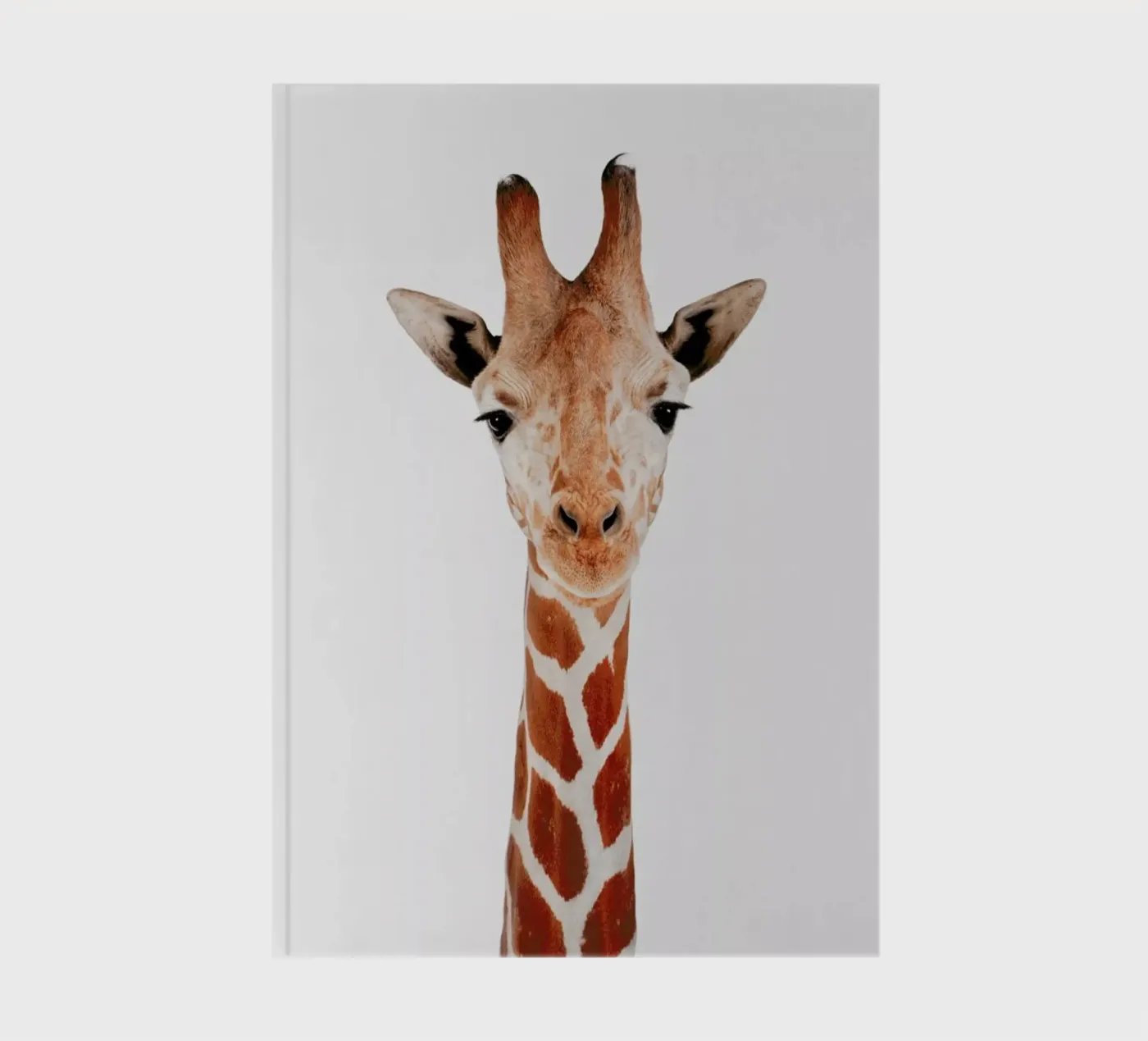 Giraffe notebook by Paws & Claws