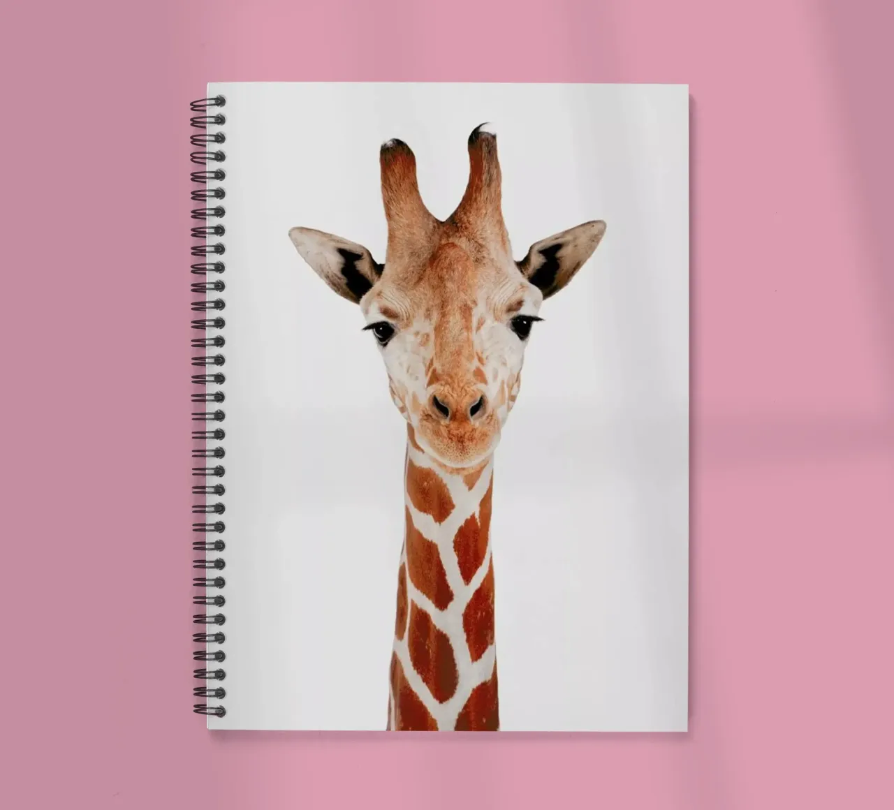 Giraffe spiral notebook by Paws & Claws