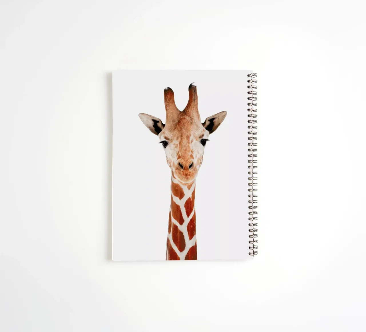 Giraffe spiral notebook by Paws & Claws