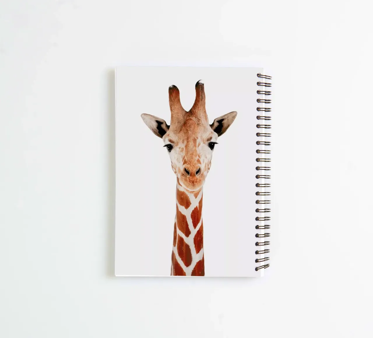 Giraffe spiral notebook by Paws & Claws