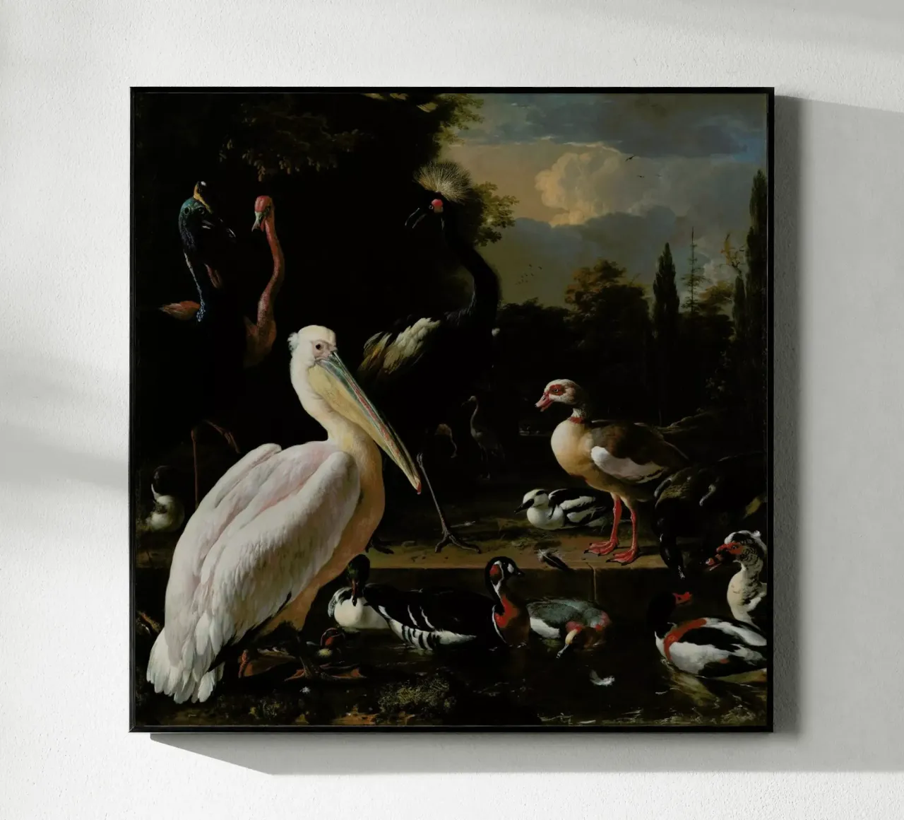 Birds in Pool plexiglass da Astër