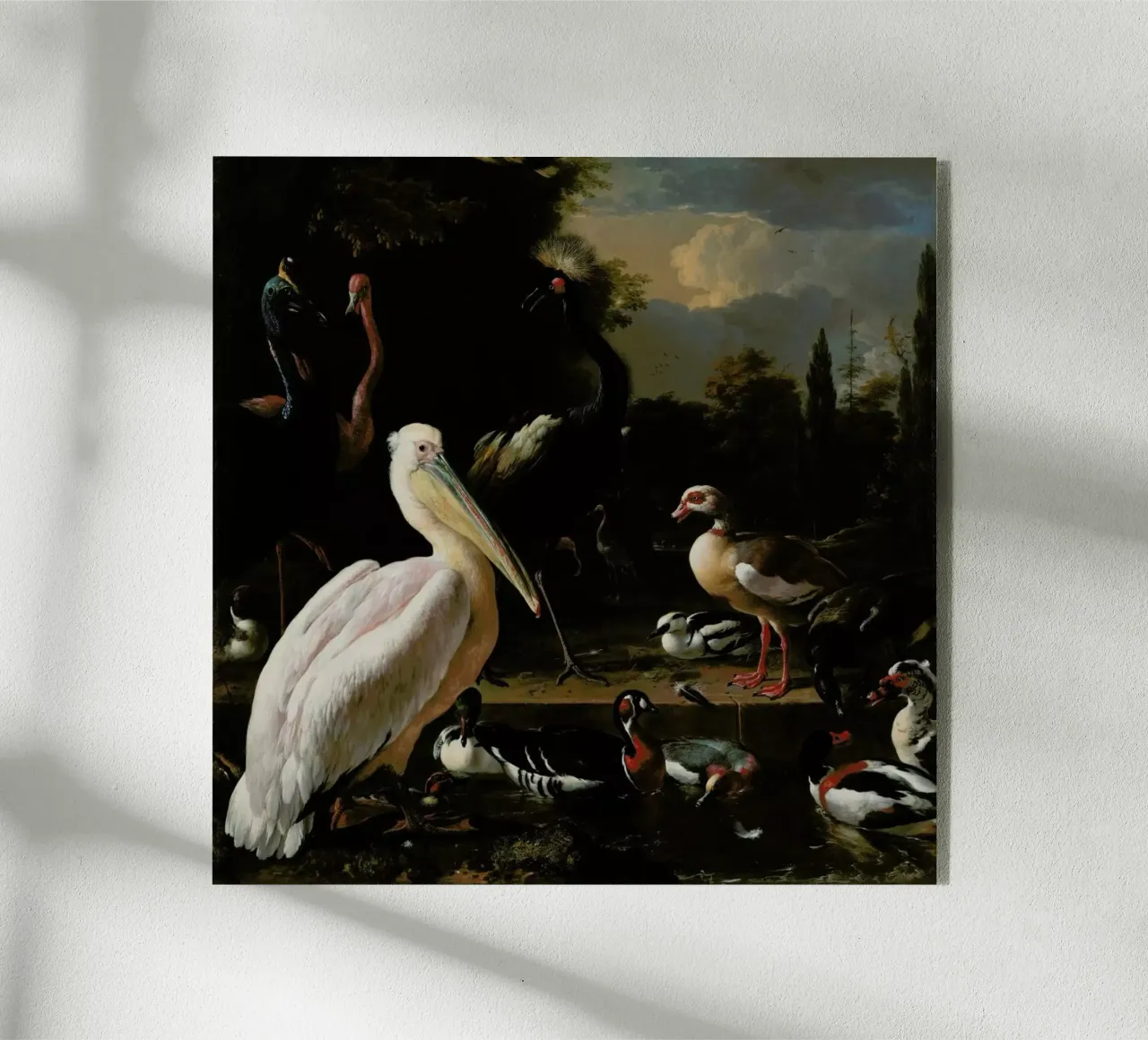 Birds in Pool plexiglass da Astër