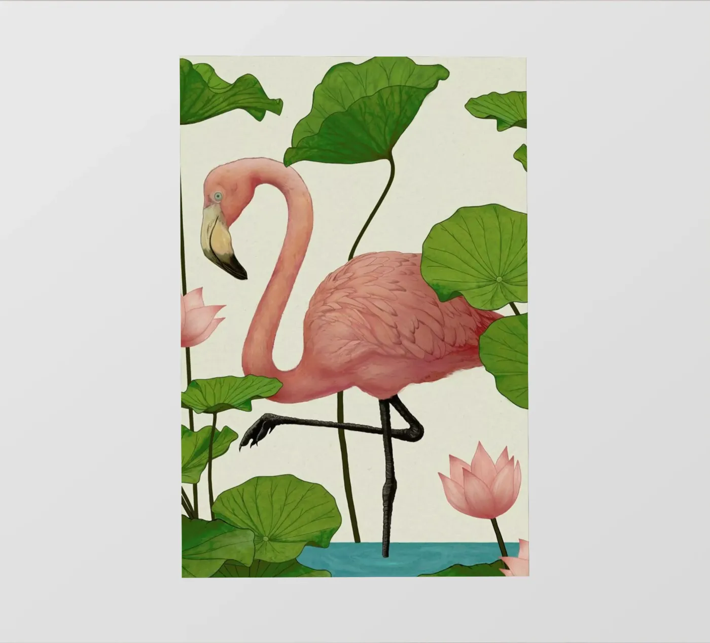 Flamingo pellicola backlit da Laura Graves